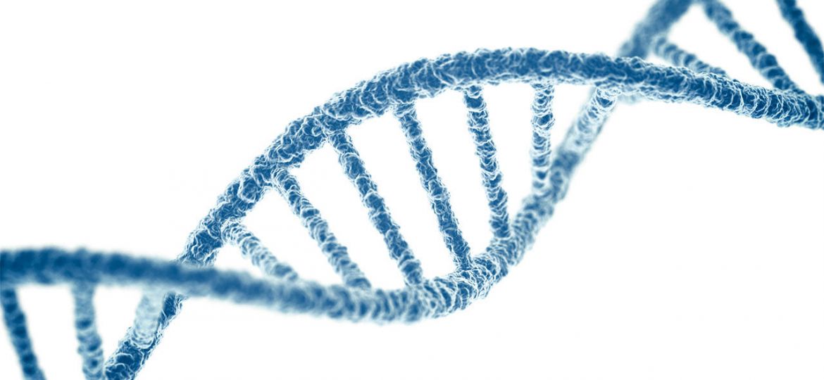 DNA_16x9_0